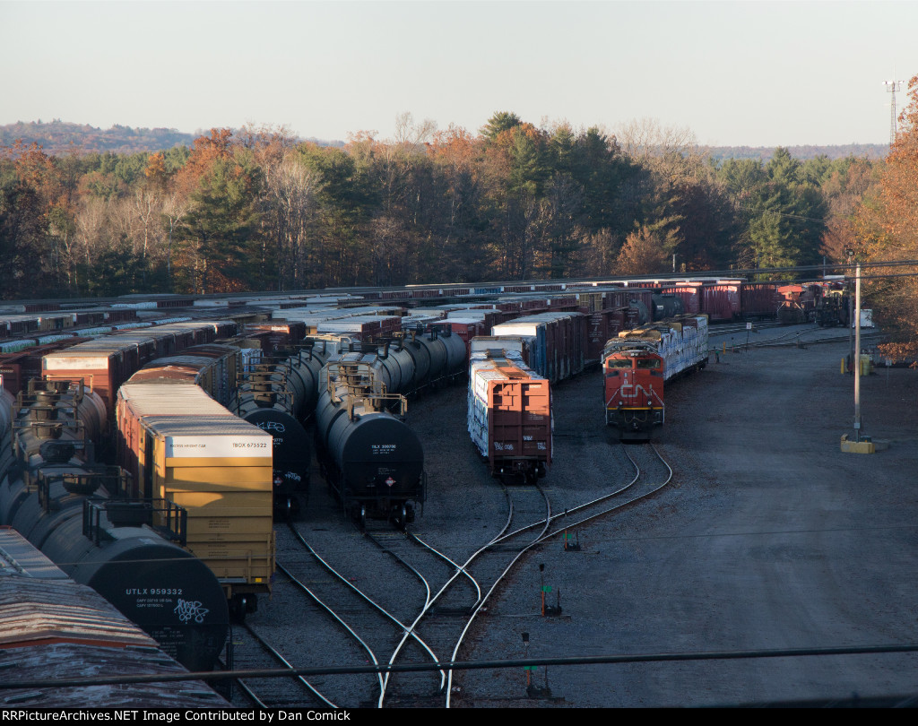 Saratoga Springs Yard